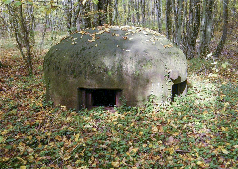 Ligne Maginot - BOIS KARRE - X12 (Abri) -  - Jean-Louis AUBLET & Sylvie MAINGUIN