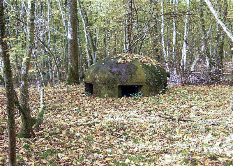 Ligne Maginot - BOIS KARRE - X12 (Abri) -  - Jean-Louis AUBLET & Sylvie MAINGUIN