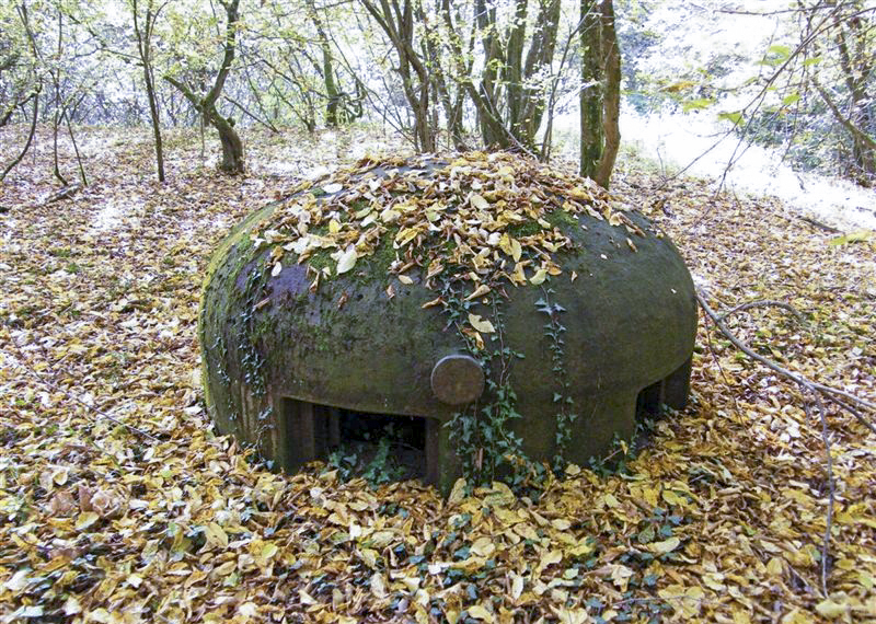 Ligne Maginot - BOIS KARRE - X12 (Abri) -  - Jean-Louis AUBLET & Sylvie MAINGUIN