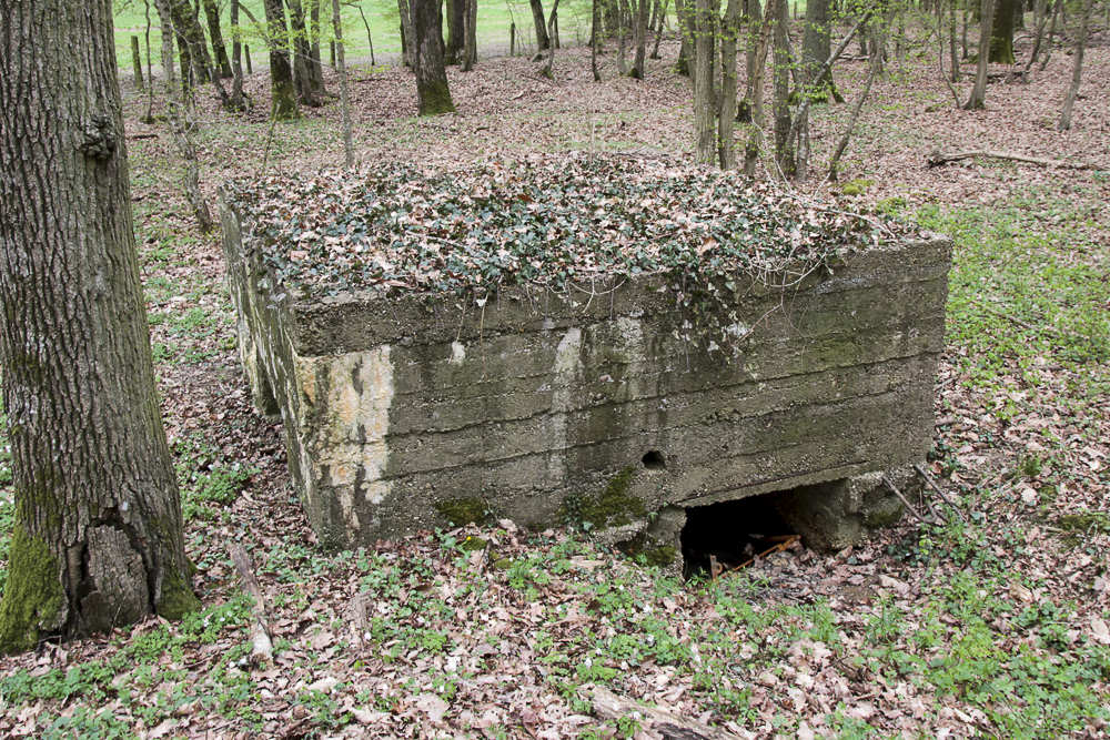 Ligne Maginot - CB89 - BORNUNGSHOFF 1 - (Blockhaus pour arme infanterie) -  - Michel Teiten