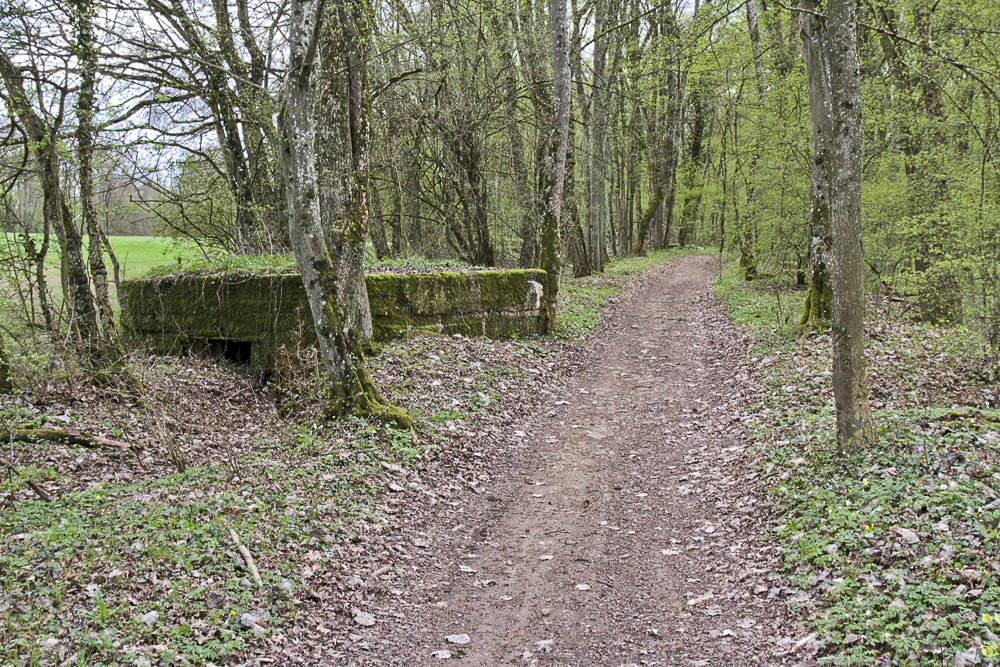 Ligne Maginot - CB89-B - BORNUNGSHOFF 3 - (Blockhaus pour arme infanterie) -  - Michel Teiten