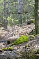 Ligne Maginot - HOCHWALD C2 - (Casemate d'infanterie - Simple) - Cloche JM et cloche GFM