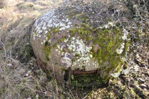 Ligne Maginot - SOETRICH - A11 - (Ouvrage d'artillerie) - Bloc 1
La cloche GFM du bloc disparait sous la végétation
