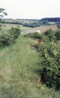 Ligne Maginot - PETERSBERG EST - C40 - (Casemate d'infanterie - Simple) - La cloche GFM