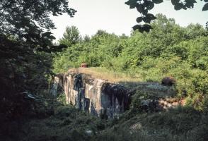 Ligne Maginot - METRICH - A17 - (Ouvrage d'artillerie) - Bloc 1
La façade après le remblaiement du fossé