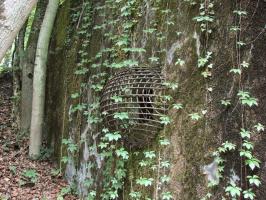 Ligne Maginot - METRICH - A17 - (Ouvrage d'artillerie) - Bloc 15
Grille d'aération.