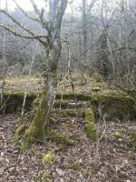 Ligne Maginot - METRICH - (Casernement) - Ruines du casernement
Les fondations d'une baraque et son escalier