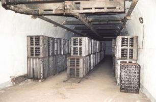 Ligne Maginot - METRICH - A17 - (Ouvrage d'artillerie) - 