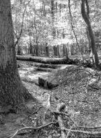 Ligne Maginot - TAUBRUNNENWALD 3 - (Abri) - 