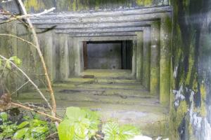 Ligne Maginot - C5B - WEIHER 2 - (Blockhaus pour canon) - Créneau droite