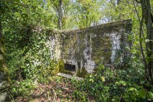 Ligne Maginot - DB316 - BOIS DE BEUVEILLE OUEST 1 - (Blockhaus pour arme infanterie) - 