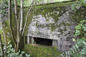 Ligne Maginot - DB318 - BOIS DE BEUVEILLE NORD OUEST - (Blockhaus pour canon) - 