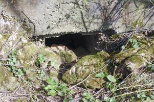 Ligne Maginot - DB374 - LE FOURNEAU 2 - (Blockhaus pour canon) - 