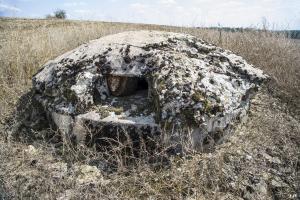 Ligne Maginot - DT26 - (Cuve pour arme d'infanterie) - Le créneau.
Attention aux abeilles.