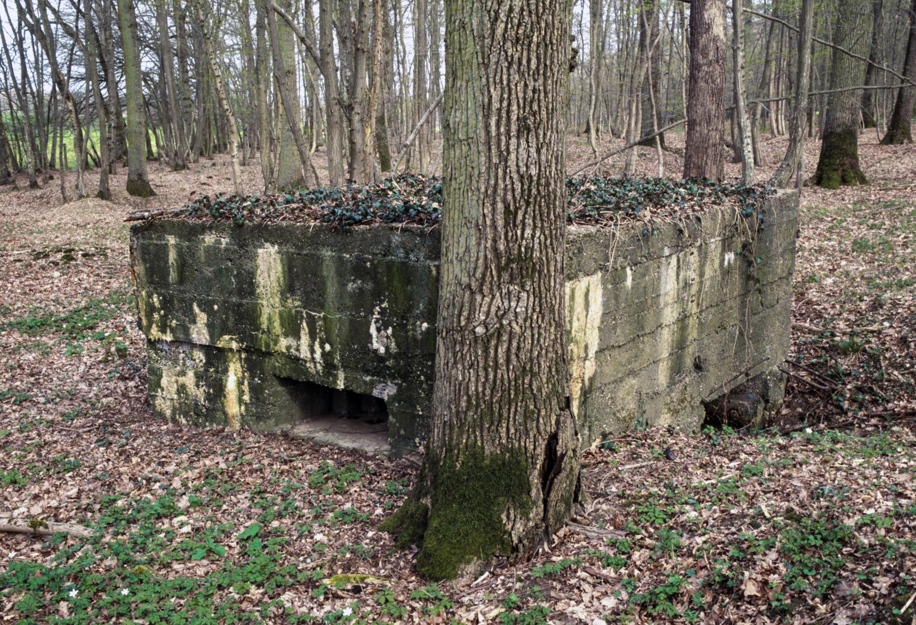 Ligne Maginot - CB89 - BORNUNGSHOFF 1 - (Blockhaus pour arme infanterie) -  - MANSUY Michel
