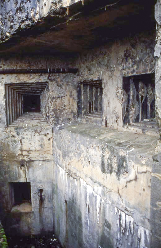 Ligne Maginot - COUME - A 31 - (Ouvrage d'infanterie) - Bloc 1
Créneaux et issue de secours - Valentin Hemmert