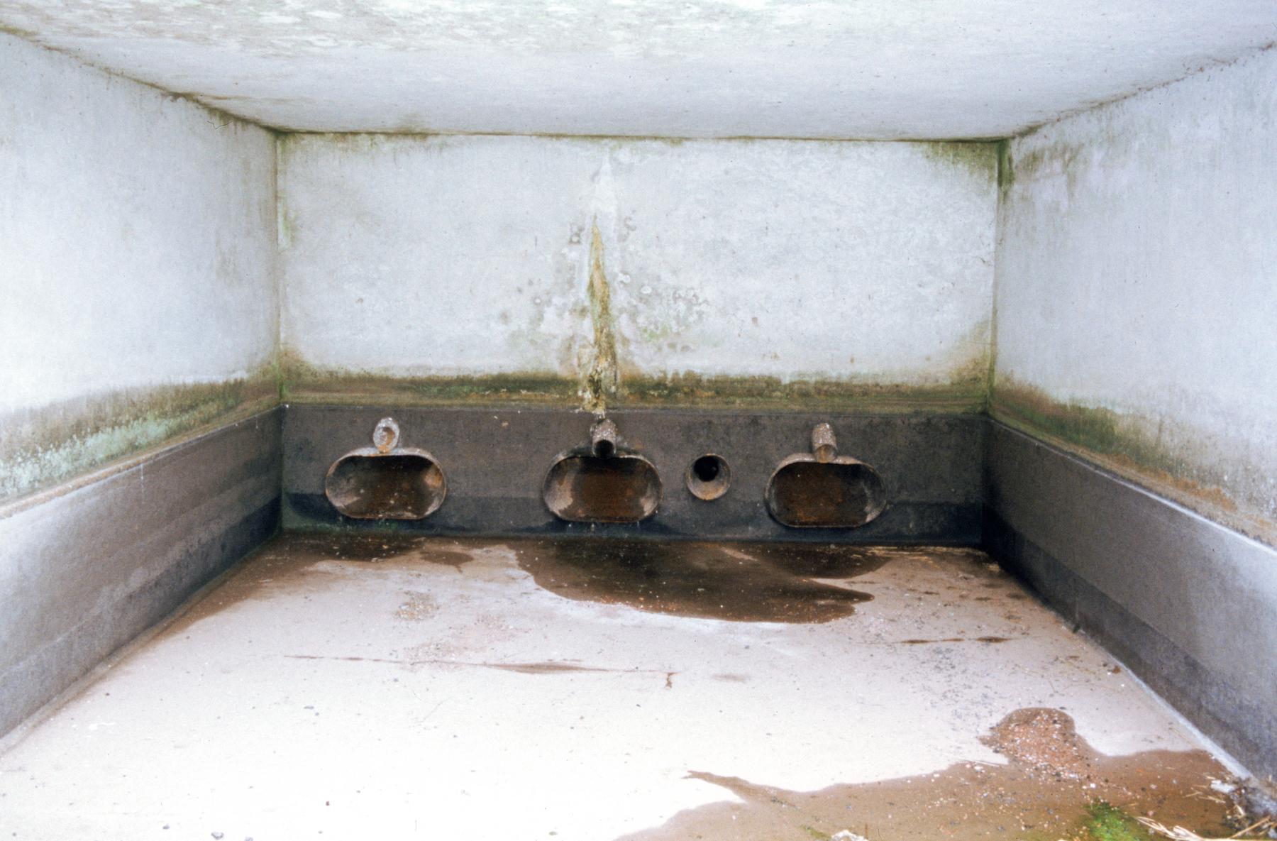 Ligne Maginot - RESERVOIR DE DIEFENBACH - (Inondation défensive) - La sortie d'eau par les vannes - MANSUY Michel