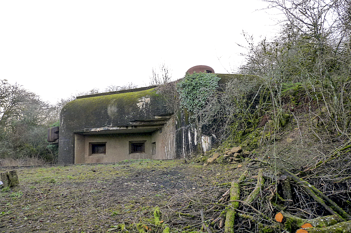 Ligne Maginot - ESCHERANGE EST - C38 - (Casemate d'infanterie - Simple) - Débroussaillage en cours en vue d'un sentier - Sylvie Laure LAMBERT