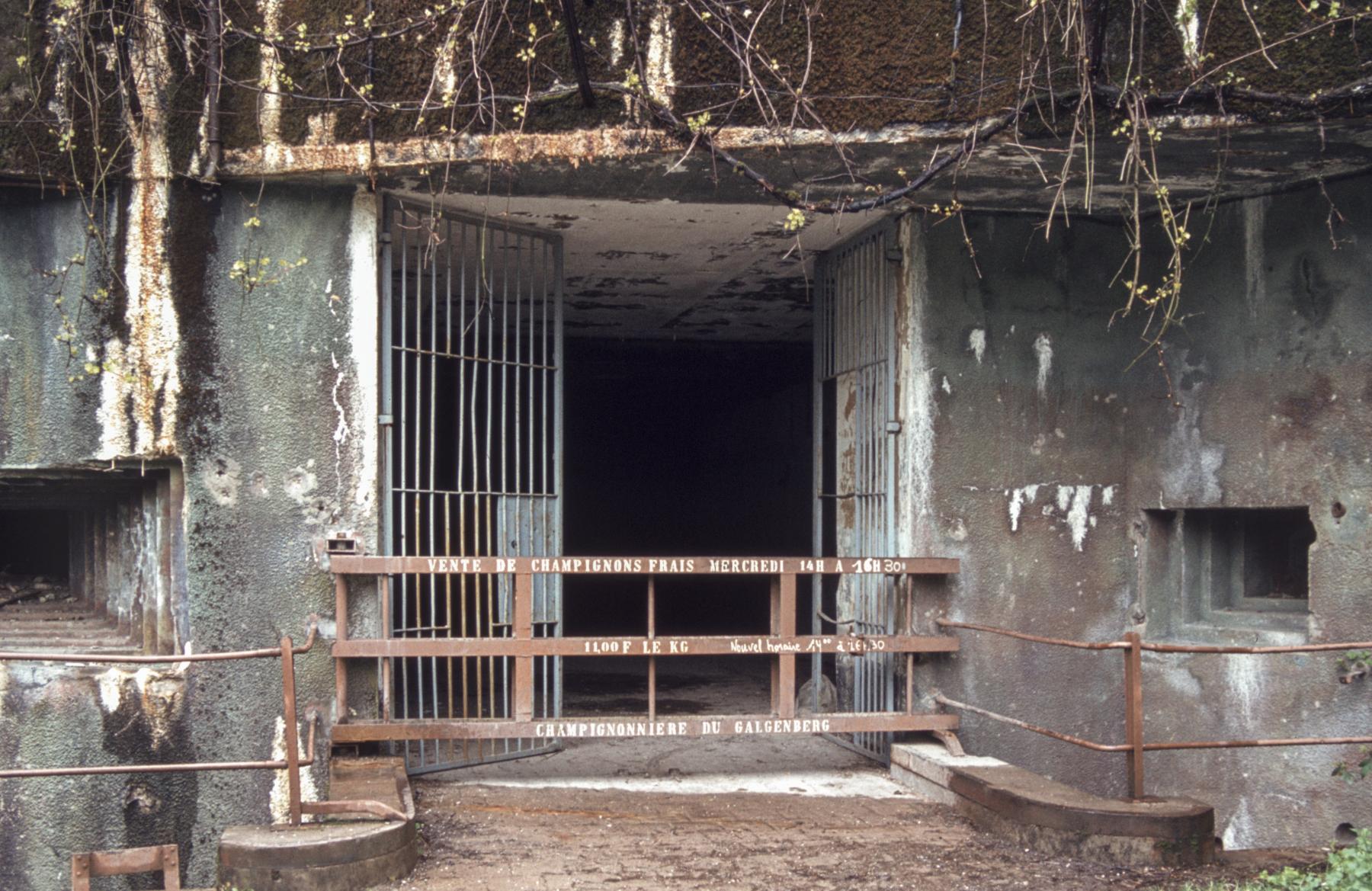 Ligne Maginot - GALGENBERG - A15 - (Ouvrage d'artillerie) - Entrée munitions
La barrière - MANSUY Michel