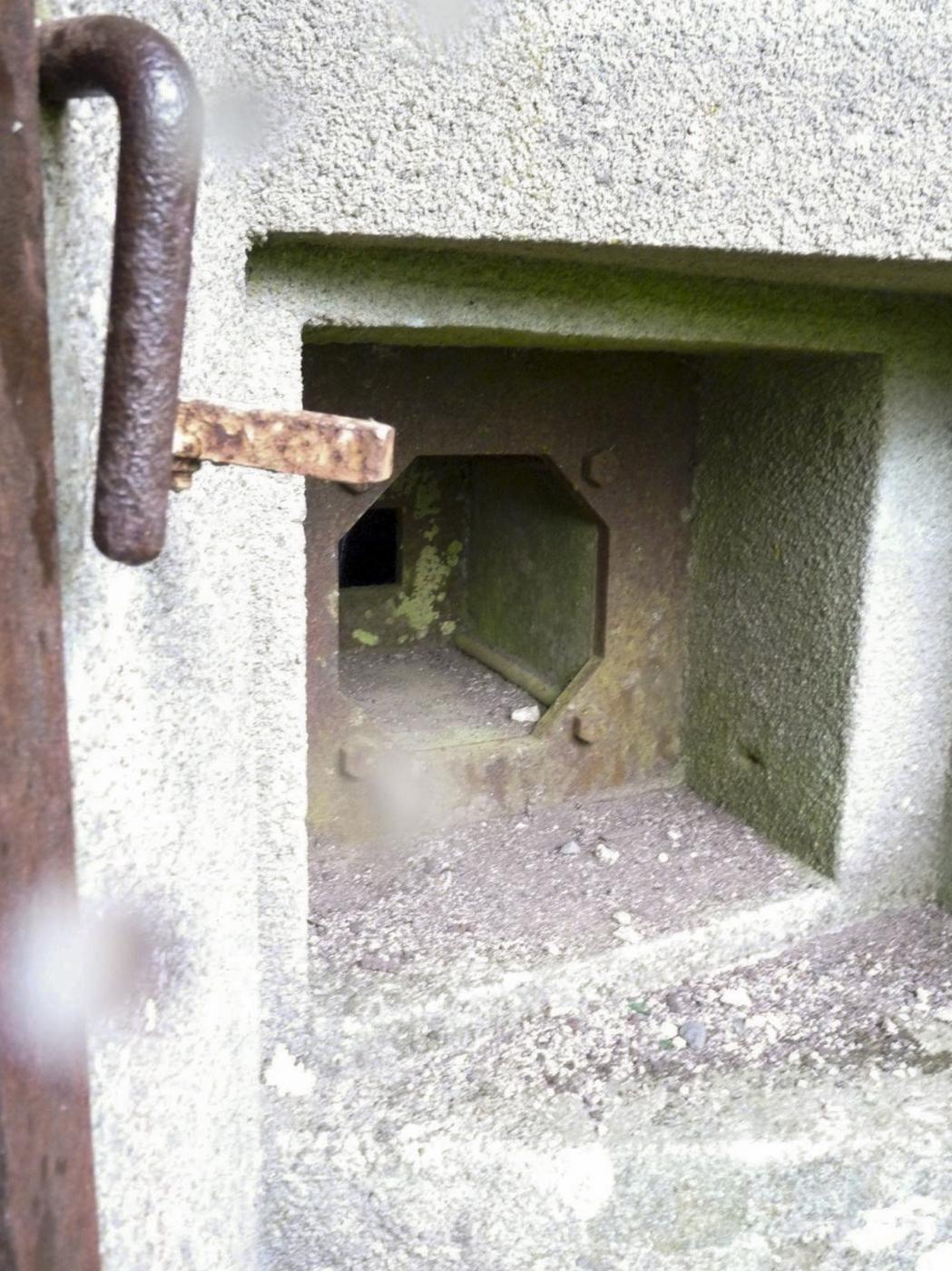 Ligne Maginot - ROUTE D'OTTANGE OUEST - C29 - (Casemate d'infanterie - Simple) -  - Sylvie Laure LAMBERT