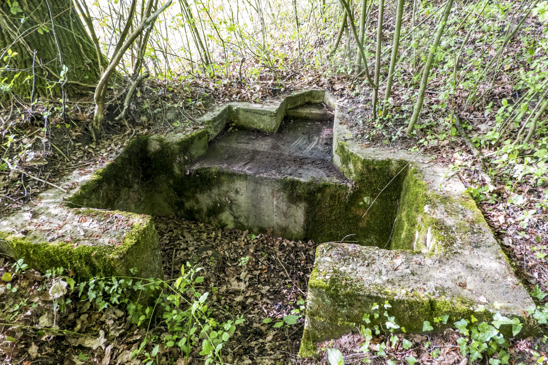 Ligne Maginot - NIEDERBETSCHDORF 1 - (Cuve pour arme d'infanterie) -  - Michel Teiten