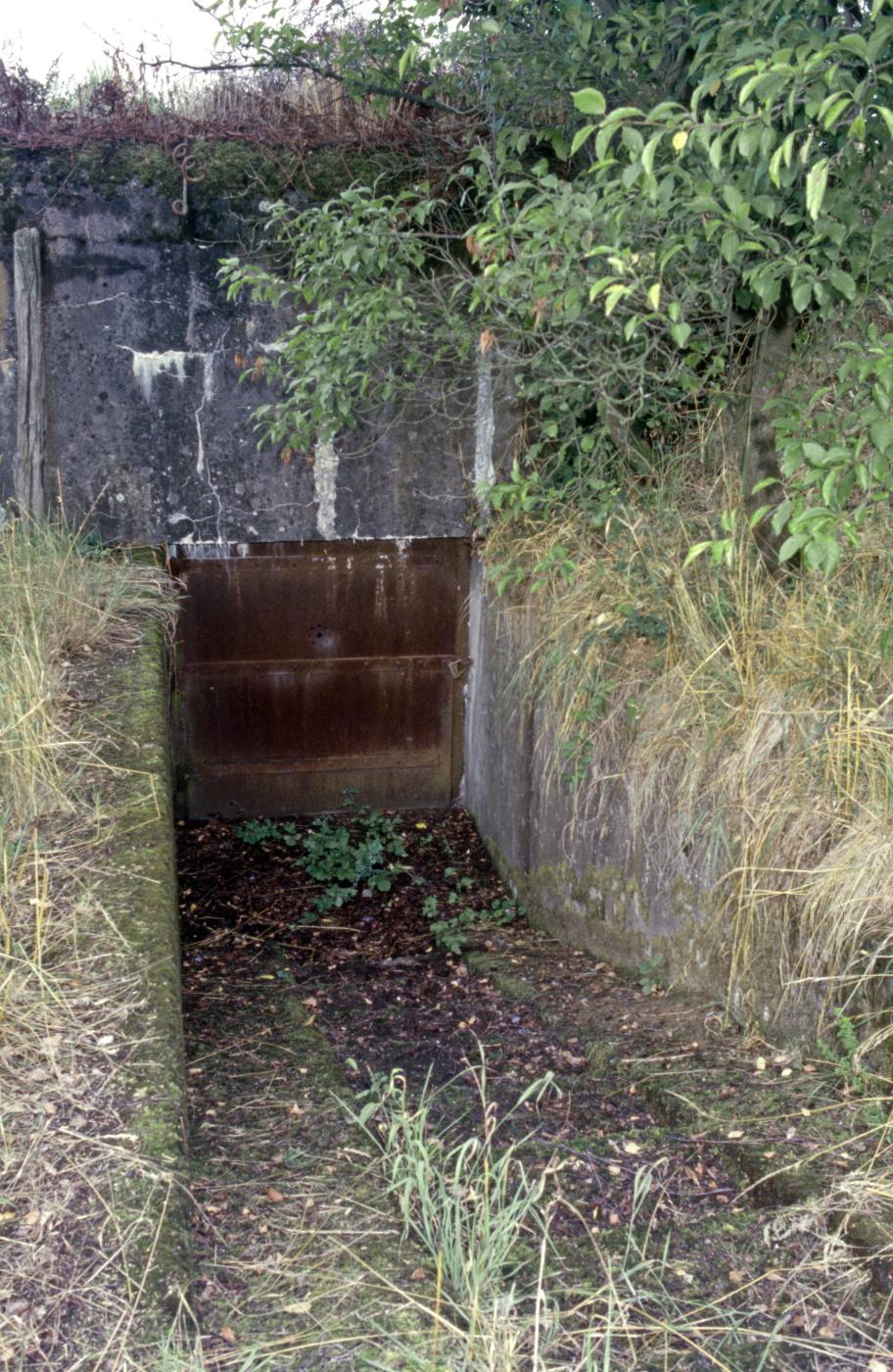 Ligne Maginot - HINSING 2 - (Blockhaus pour canon) - L'entrée - MANSUY Michel