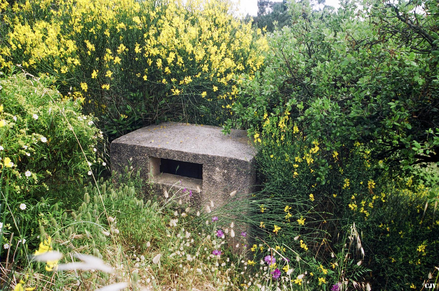 Ligne Maginot - ZIGLIONE (Casemate d'infanterie) - La cheminée - Lia VERMEULEN
