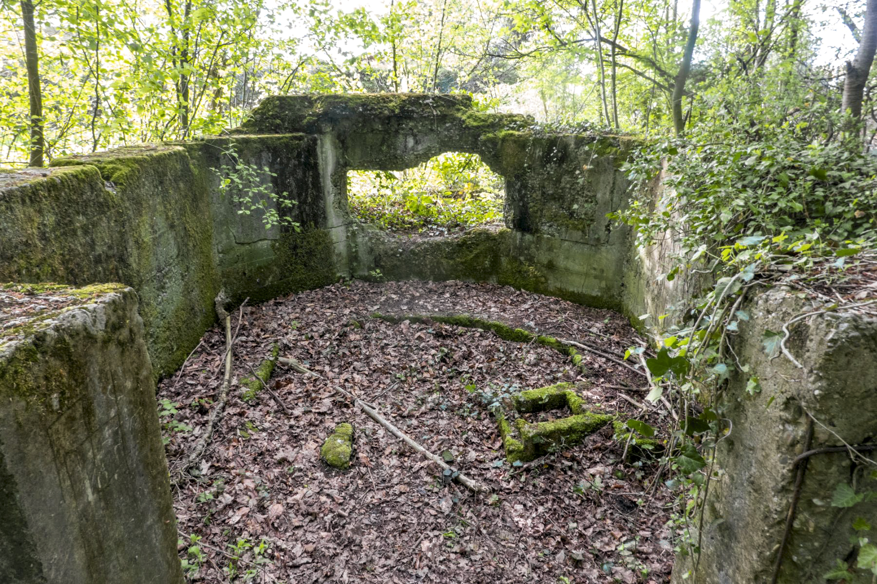 Ligne Maginot - NIEDERBETSCHDORF 2 - (Cuve pour canon) -  - Michel Teiten