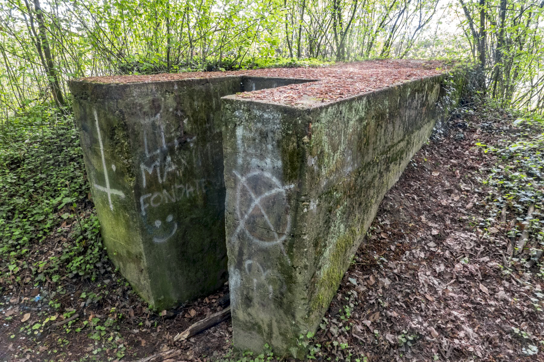 Ligne Maginot - NIEDERBETSCHDORF 3 - (Blockhaus pour arme infanterie) -  - Michel Teiten