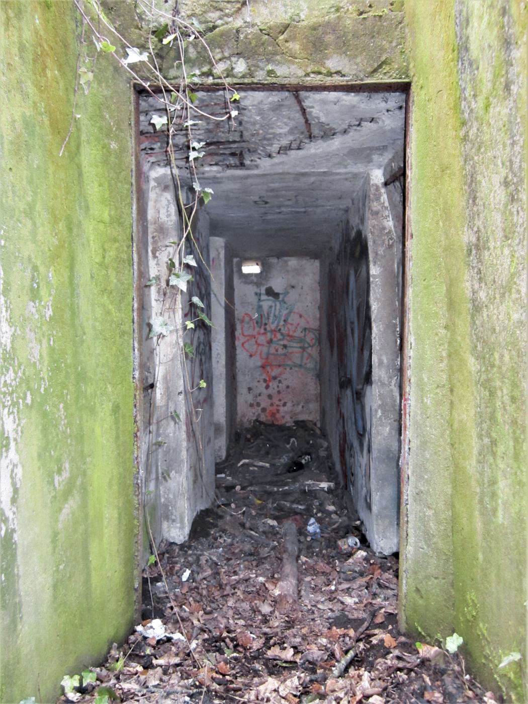 Ligne Maginot - NIEDERBETSCHDORF 3 - (Blockhaus pour arme infanterie) -  - Gregory Fuchs