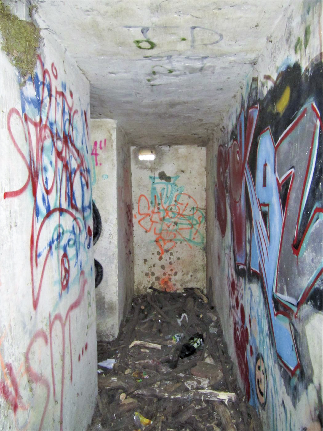 Ligne Maginot - NIEDERBETSCHDORF 3 - (Blockhaus pour arme infanterie) -  - Gregory Fuchs