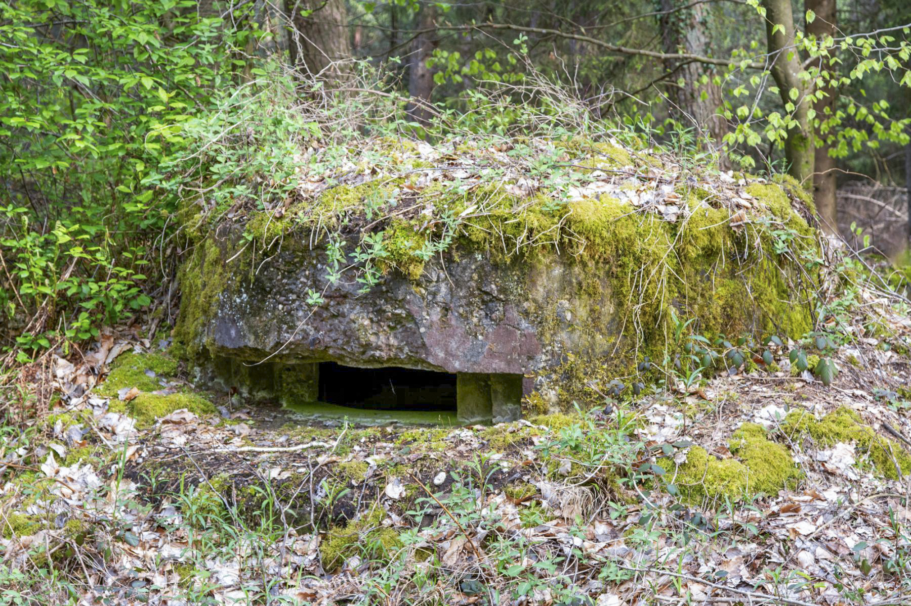 Ligne Maginot - RENDEZ VOUS DE CHASSE 2 - (Blockhaus pour arme infanterie) -  - Michel Teiten