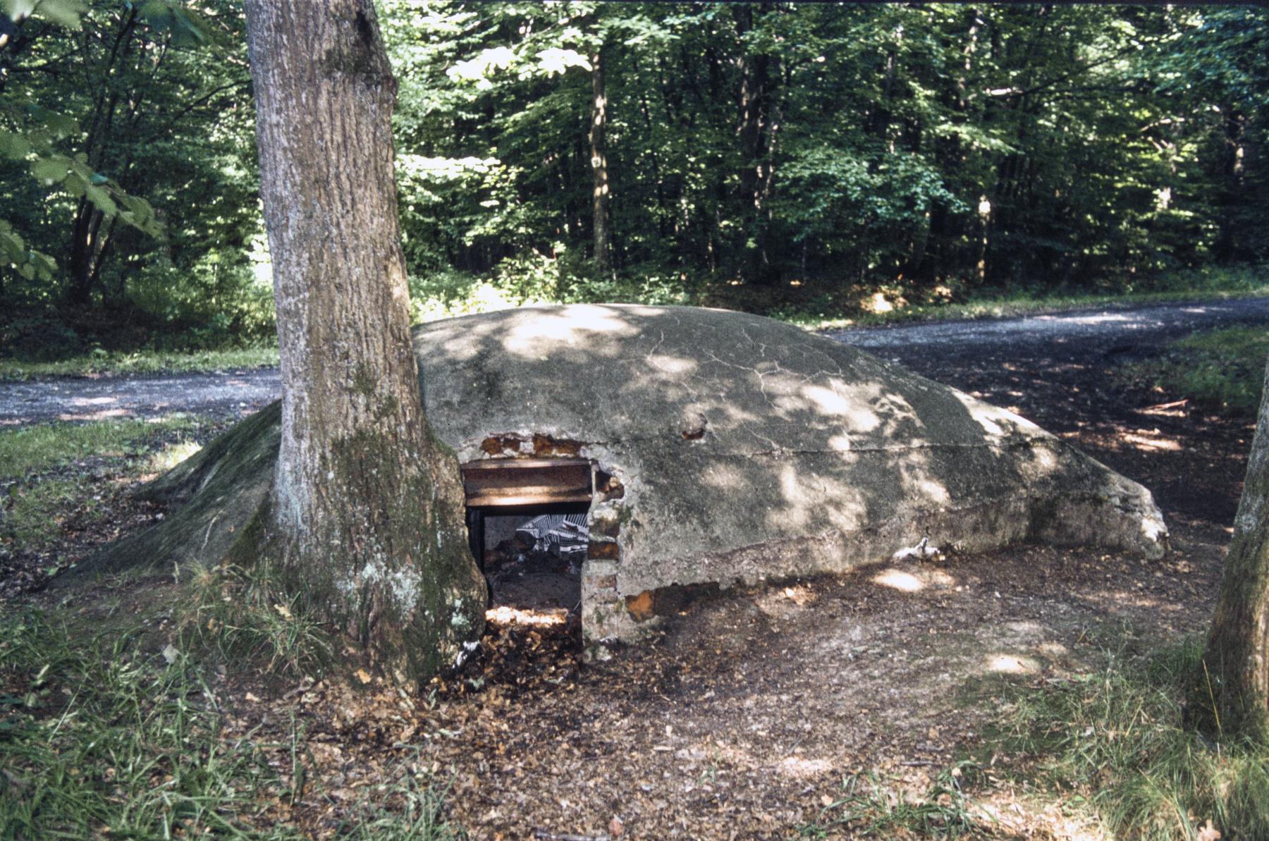 Ligne Maginot - HUEHNERBERG 3 - (Blockhaus pour arme infanterie) - L'entrée - MANSUY Michel