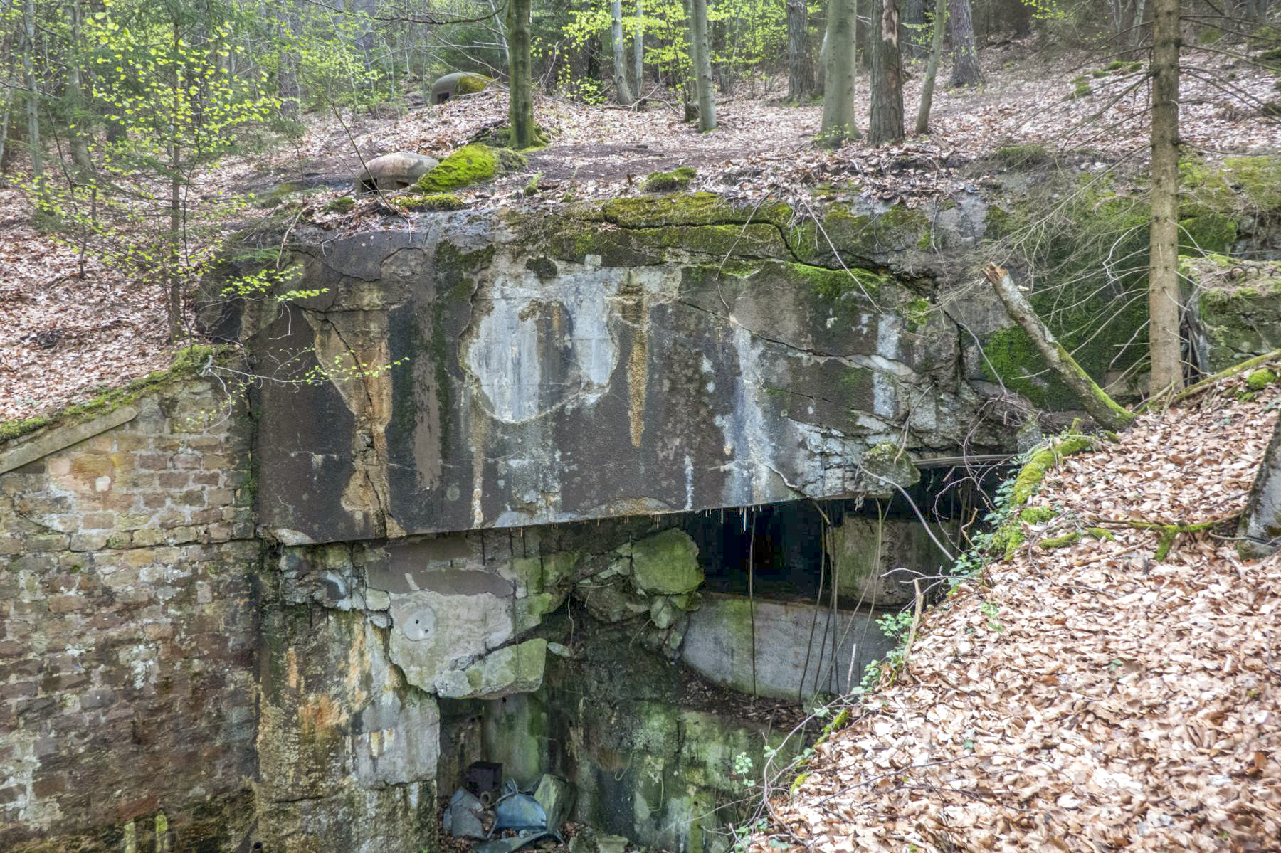 Ligne Maginot - HOCHWALD C2 - (Casemate d'infanterie - Simple) - Chambre de tir dans l'axe du fossé. Le bloc est dominé par la cloche JM et la cloche GFM en haut à gauche. - Michel Teiten