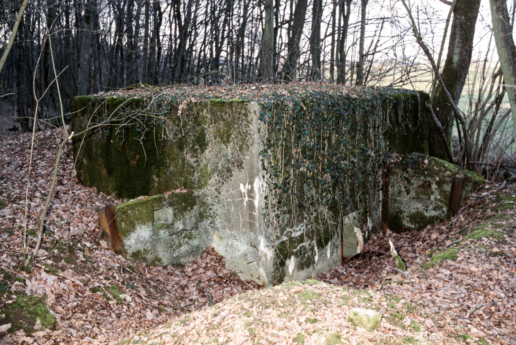 Ligne Maginot - CB298 - KUHDRECK 4 - (Blockhaus pour arme infanterie) -  - MANSUY Michel