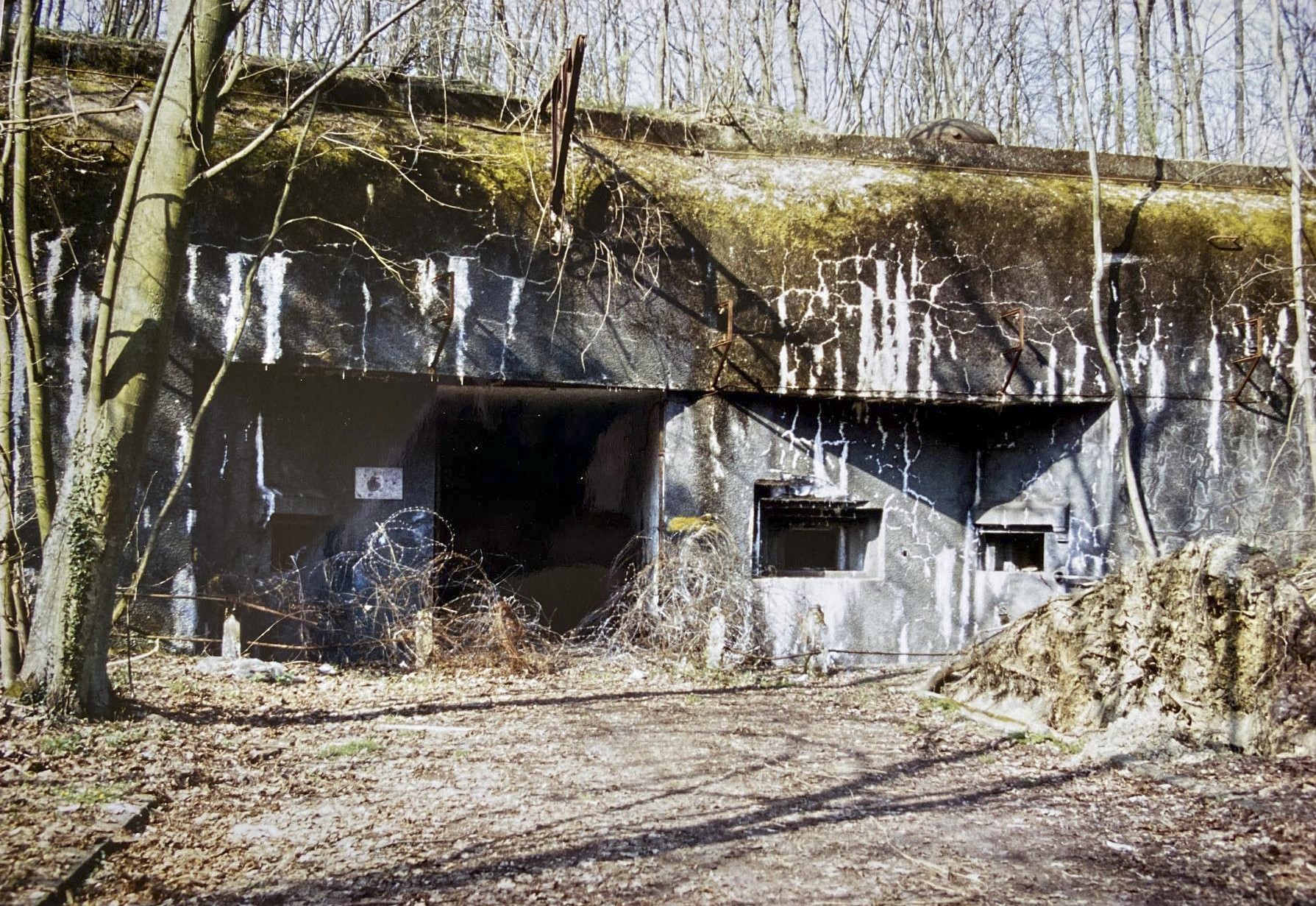 Ligne Maginot - SOETRICH - A11 - (Ouvrage d'artillerie) - Entrée munitions  - Jean-Louis NOSPELD