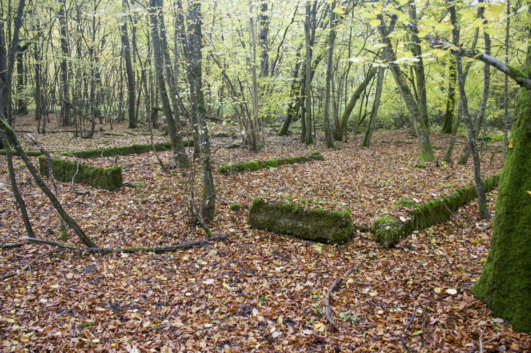 Ligne Maginot - SOETRICH - (Casernement) -  - Michel Teiten
