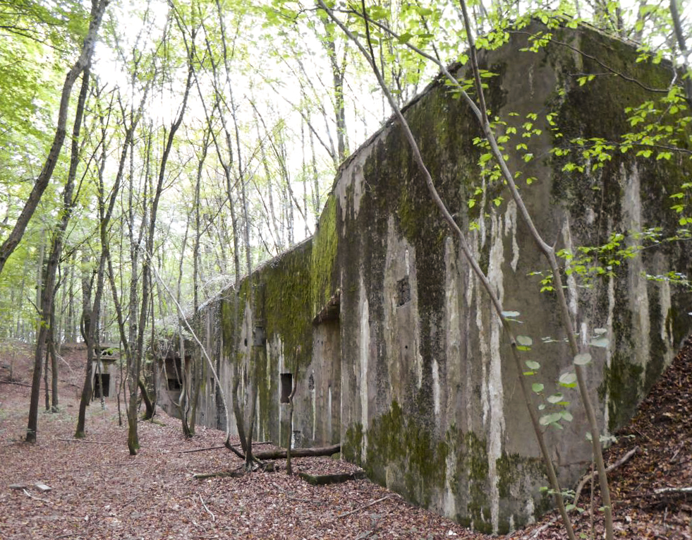 Ligne Maginot - MONT DES WELCHES - X25 - (Abri) -  -  ELLENA-CUNY