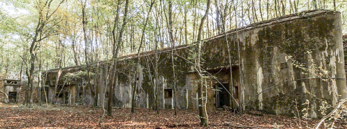Ligne Maginot - MONT DES WELCHES - X25 - (Abri) - La façade de l'abri - YAMI1900