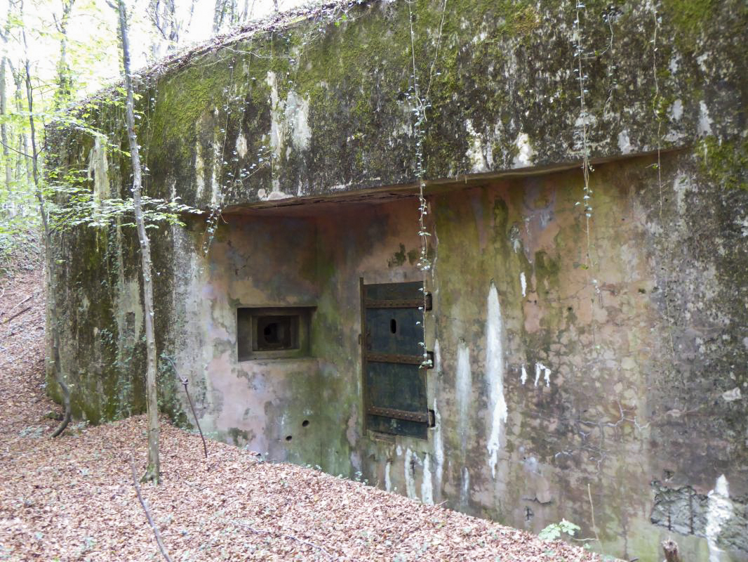 Ligne Maginot - MONT DES WELCHES - X25 - (Abri) -  -  ELLENA-CUNY