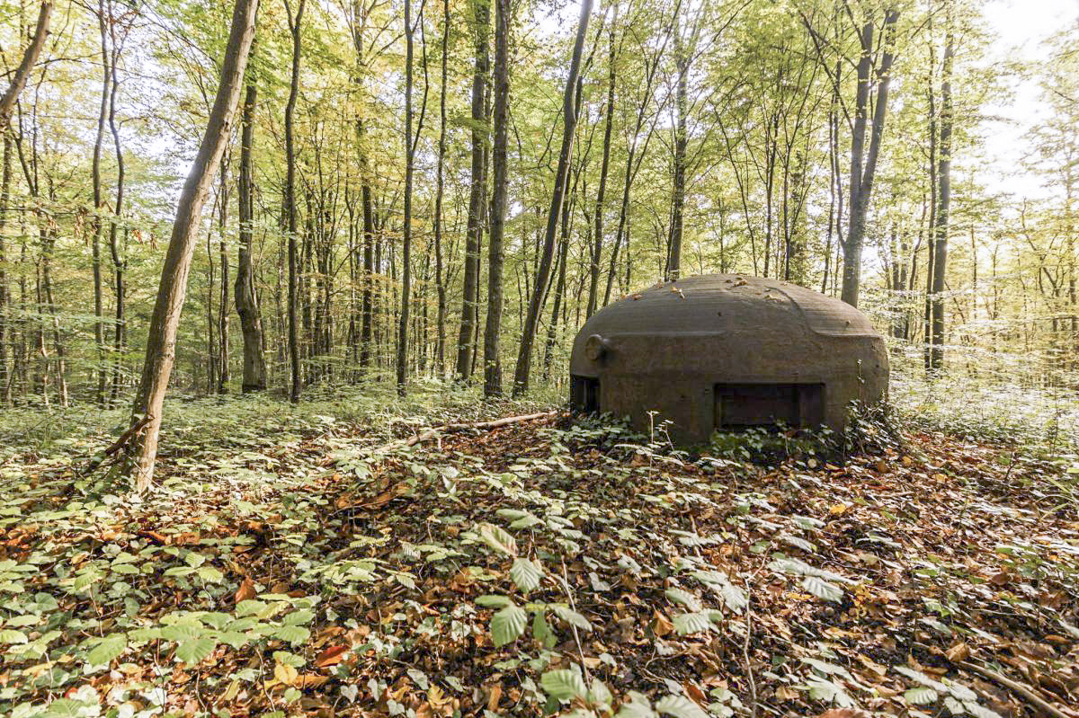 Ligne Maginot - MONT DES WELCHES - X25 - (Abri) - Cloche GFM type A - YAMI1900