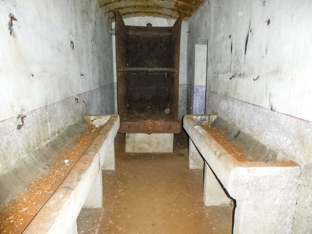 Ligne Maginot - MONT DES WELCHES - X25 - (Abri) -  -  ELLENA-CUNY