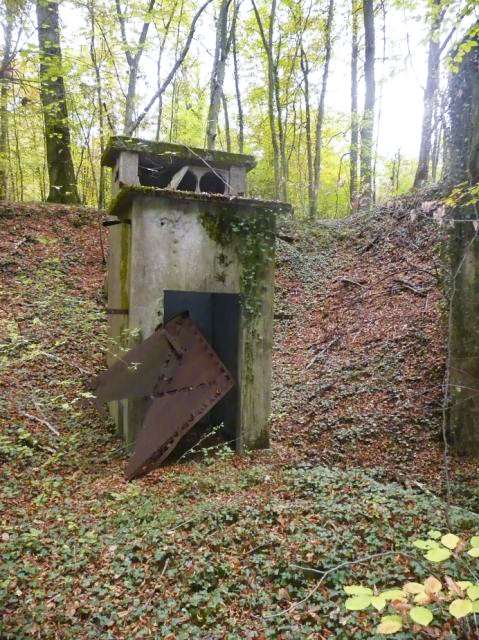 Ligne Maginot - MONT DES WELCHES - X25 - (Abri) - Le transformateur  électrique extérieur - Patrick ARMAND