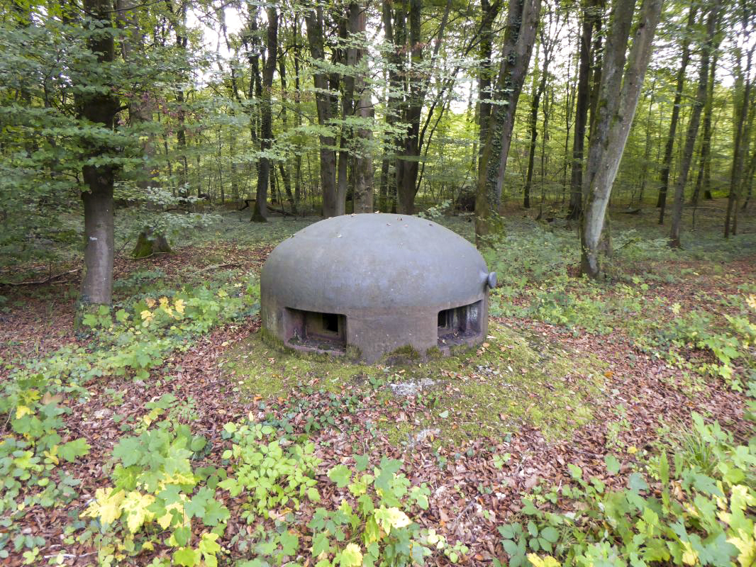 Ligne Maginot - BILMETTE - X26 - (Abri) -  - ELLENA-CUNY