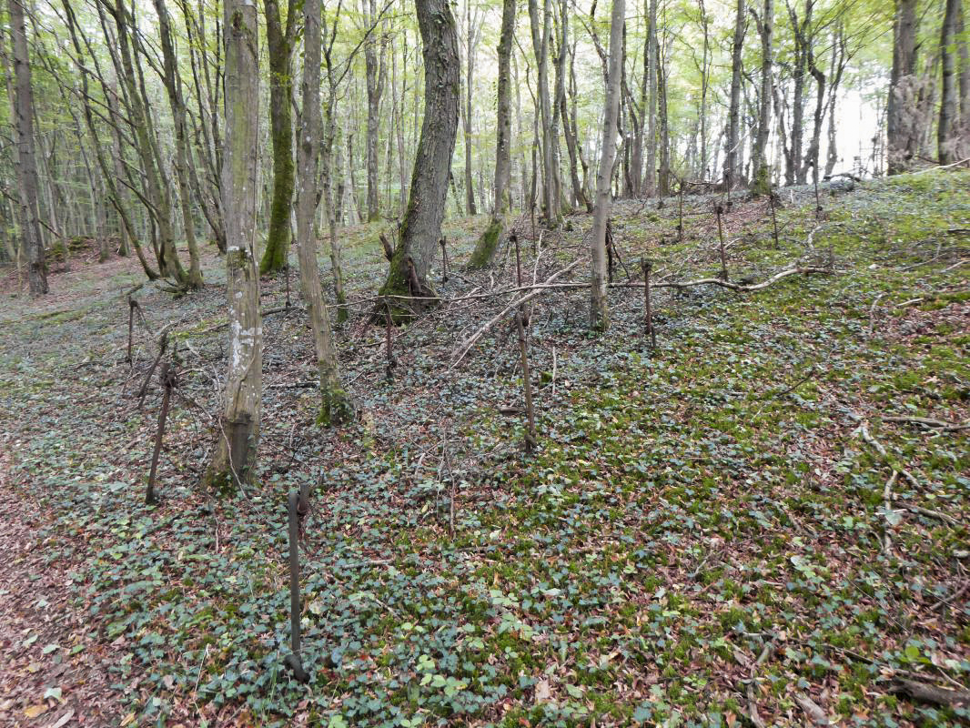 Ligne Maginot - BILMETTE - X26 - (Abri) -  - ELLENA-CUNY