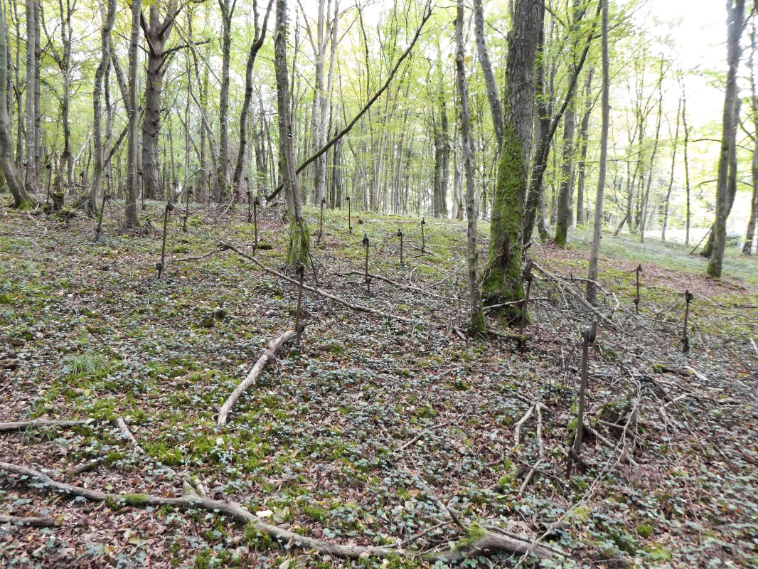 Ligne Maginot - BILMETTE - X26 - (Abri) -  - ELLENA-CUNY