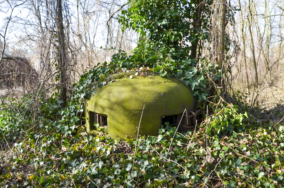 Ligne Maginot - 35/2 - CHALAMPE SUD OUEST - (Casemate d'infanterie - Simple) - Cloche GFM - D. Froehly