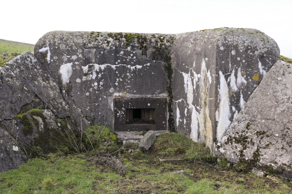 Ligne Maginot - BB31-C - KAPPELPARK SUD - DENISE - (Blockhaus pour arme infanterie) -  - Alain Perouffe