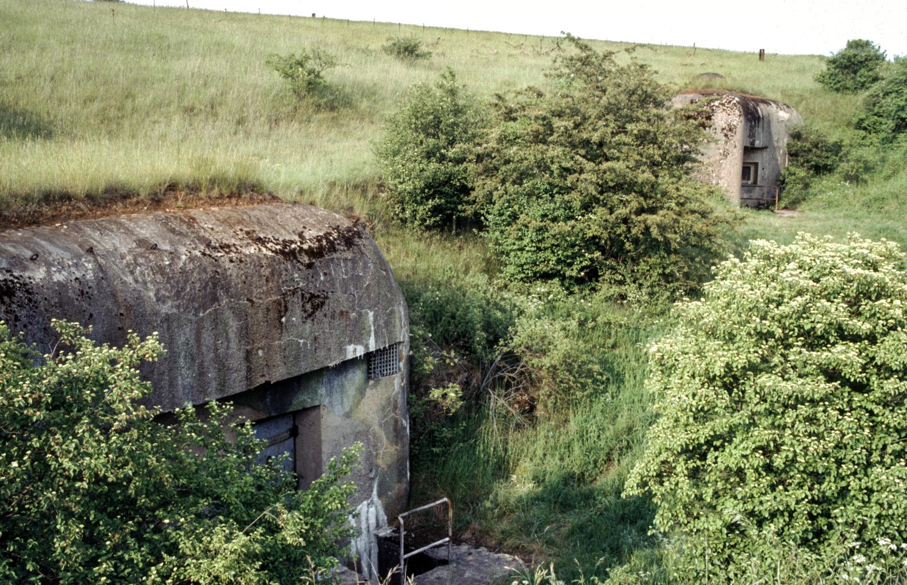 Ligne Maginot - PETERSBERG - X4 - (Abri actif) - Les entrées - MANSUY Michel