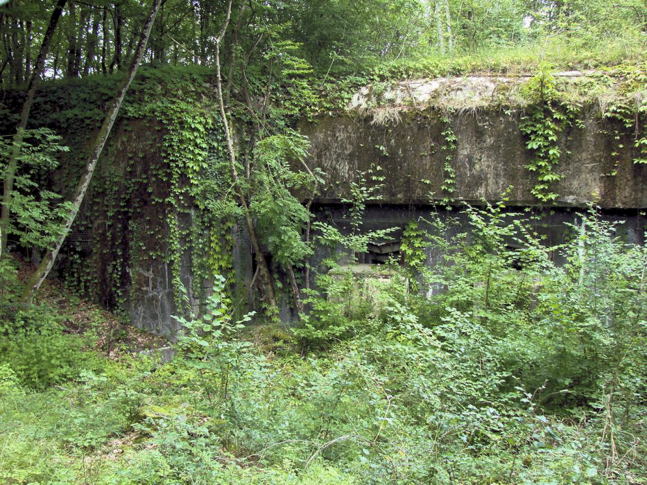 Ligne Maginot - METRICH - A17 - (Ouvrage d'artillerie) - Bloc 15
Vue d'ensemble. - Schnoupf